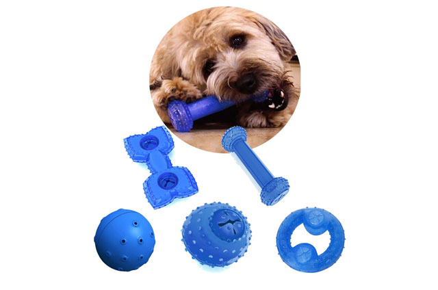 Cat and dog toys